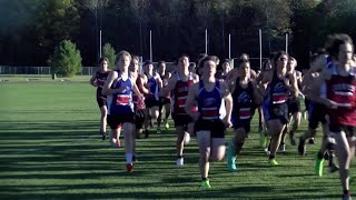 Rhinelander State Cross Country Meet Preview 11124 [upl. by Neehsas858]