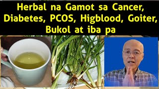 Herbal na Gamot sa CancerDiabetesPCOSHigbloodGoiterBukol at ibapa🦠👇 [upl. by Idona]