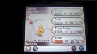 How to get Torchic and Blazikenite in Pokemon X and Pokemon Y [upl. by Annaya]