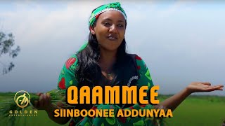 Siinboonee Addunyaa  Qaammee  Ethiopian Oromo Music 2020 Official Video [upl. by Anabahs141]