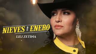 Lili Zetina  Nieves de Enero  Audio Oficial  Morena Music [upl. by Scarito]