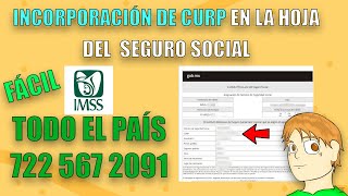 CÓMO REALIZAR INCORPORACIÓN DE CURP EN EL NÚMERO DE SEGURO SOCIAL TODO EL PAÍS [upl. by Nnylesor]