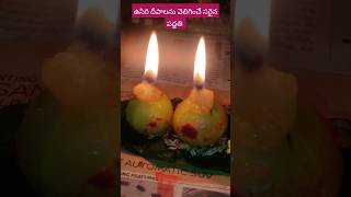 ఉసిరి దీపాన్ని వెలిగించే సరియైన పద్ధతి 🙏🙏 deepam karthikamasam amla usirideepam shortsfeed [upl. by Warrenne]