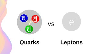 Standard Model of Matter Fermions Quarks and Leptons  HSC Physics [upl. by Ketty]