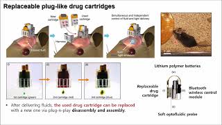 저널미팅 Wireless optofluidic brain probes for chronic neuropharmacology and photostimulation [upl. by Fabrice954]