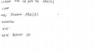 Signaling Pathways of Endocrine Hormones First Aid USMLE Step 1 [upl. by Reece467]