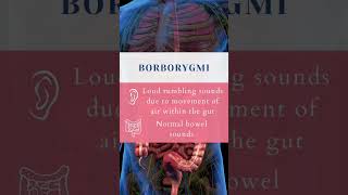 Lets learn bowel sounds together 💩🩺 bowelsounds medstudent medicine [upl. by Idnahs7]