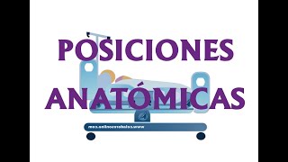 POSICIONES ANATÓMICAS [upl. by Ayimat856]