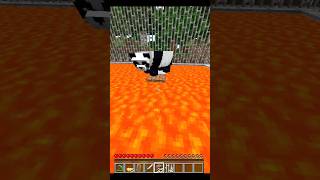 Minecraft But Panda Save My Life Minecraft shorts [upl. by Allimrac835]