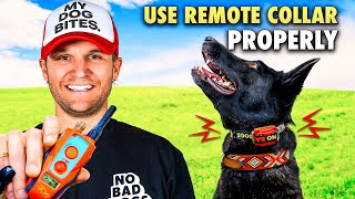 E collar training for beginnersHow to train a dog using the remote collar [upl. by Nerrak]