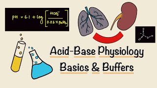 Acid Base Physiology  Part One  Basics  Buffers  Renal Physiology [upl. by Olimac]