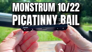 Budget Monstrum Picatinny Rail for Ruger 1022 [upl. by Ailedua246]