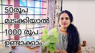 ഇനി നിങ്ങൾക്കും വരുമാനം ഉണ്ടാക്കാം  BUSINESS IDEA  BUSINESS WITHOUT INVESTMENT  PARTTIME JOB [upl. by Muscolo]