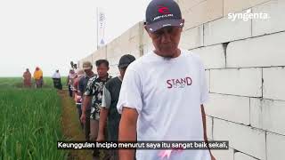 Expo Incipio di Kecamatan Batujaya Kabupaten Karawang [upl. by Lizzie]