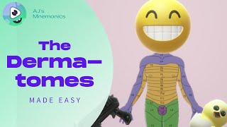 How to Easily Memorize the Dermatomes [upl. by Karna]