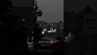 ببكي ع بواوب الويل 🖤✨ الشامي بيكو عوضكعني تصميمي اغاني shorts [upl. by Rosanne805]