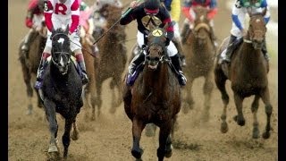 2004 Breeders Cup Classic  Ghostzapper  Post Race [upl. by Benedicto193]