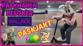 Påskharen är på Wallride och gömmer ägg för påskjakt VLOGG [upl. by Gilliette491]