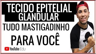 Tecido Epitelial Glandular ou Secretor  Biologia com Patrick Gomes [upl. by Neufer]