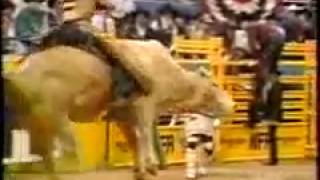 Worlds Most Dangerous Rodeo Bull Bodacious [upl. by Gerdeen24]