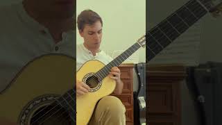 More of Aranjuez Concerto 💃🏻🤠 guitar music classicalguitar guitarsolo [upl. by Zzabahs]