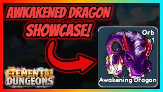 Awakened Dragon Showcase  Elemental Dungeons [upl. by Kirst]