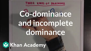 Codominance and Incomplete Dominance  Biomolecules  MCAT  Khan Academy [upl. by Vookles328]