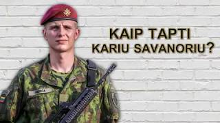 KASP infografika 2 dalis  Kaip tapti kariu savanoriu [upl. by Eedrahc]