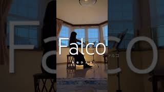 島谷ひとみ falco ファルコ バイオリン 弾いてみた [upl. by Llennehc]