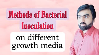 Lec9  Inoculation of different media  Different methods of Bacterial inoculation  UrduHindi [upl. by Donoho]