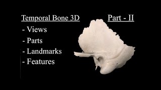 Temporal Bone Anatomy 3D Part 2 Features  Landmarks and Osteology of Tympanic Petrous amp Styloid [upl. by Adnirolc]