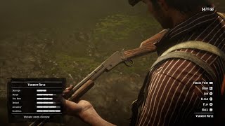 How to collect the Varmint Rifle  Red Dead Redemption 2 [upl. by Stichter944]