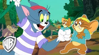 Tom et Jerry en Français  Tom sauve Jerry façon jungle  WB Kids [upl. by Agatha]