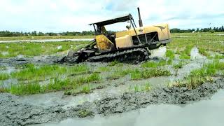 New holland trekta trek petak dalam [upl. by Yawnoc778]