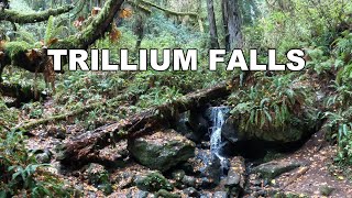 Solo hike to Trillium Falls  ASMR [upl. by Sulrac]