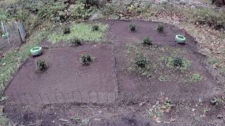 Tertill Test in 4 quadrant garden [upl. by Hinkle]