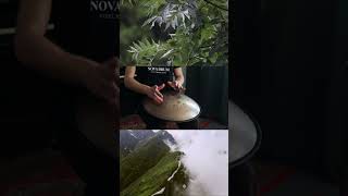 D Celtic Minor  Novadrum 48 91 tonguedrum novadrum music handpan handdrum handpanworld [upl. by Hajidahk]