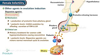 Female Infertility Ovulation Induction Agentsamp Other Agents in Ovulation Induction [upl. by Tenner291]