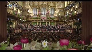 Vienna Philharmonic Orchestra  Dunărea Albastră Johann Straussfiul [upl. by Arobed]