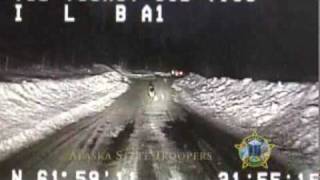 German Shepherd leads state trooper to house fire in Alaska [upl. by Jonie]