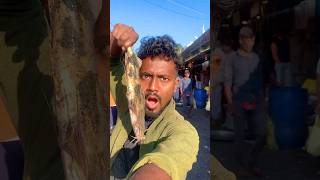 dost ko bhoot pakra 😱 minivlog vlog vlogging shorts dailyvlog fish vlogger [upl. by Kirbee]