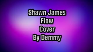 Shawn James Flow Cover by Demmy [upl. by Eltsirc]