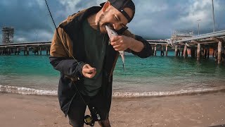 Fishing Marsden Point Refinery for Kahawai using lures off the beach [upl. by Adnima]