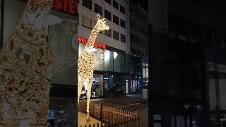 75 Essener Lichtwochen  Porschekanzel essen ruhrgebiet city light night shopping animals [upl. by Bradway734]