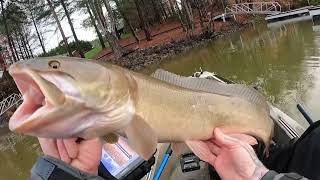 Surprise PB catch in Lake Hickory bass tournament Foothills kayak anglers [upl. by Brendan]