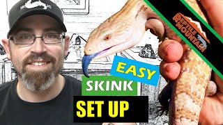 Blue Tongue Skink Setup Simple  Ep 85 [upl. by Milano479]