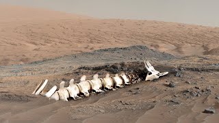 Everything NASA Has Discovered On Mars So Far [upl. by Deni265]