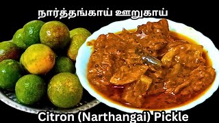 நார்த்தங்காய் ஊறுகாய்  ஒரு வருடமானாலும் கெடாமல் இருக்கும்  Narthangai pickle recipe in tamil [upl. by Schwab]