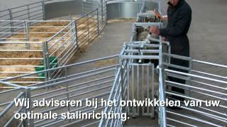 Veno stalinrichting voor schapen en geiten presentatie [upl. by Hester]