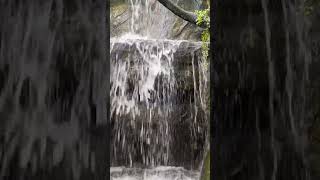 The sound of waterfalls birdsong freshness healing nature waterfall birdsounds freshwater [upl. by Heall]